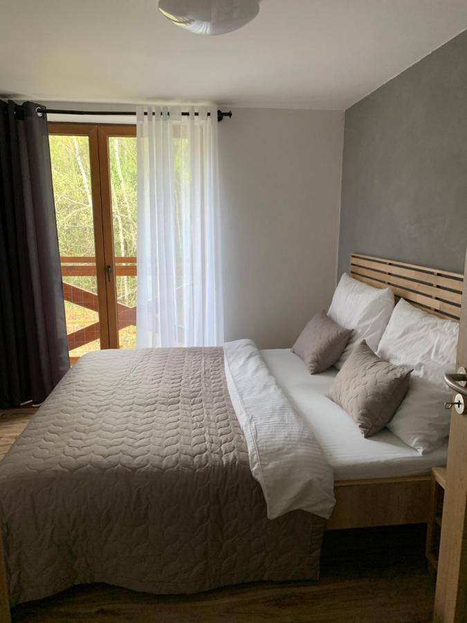 Apartmany Anicka Zelezna Ruda Luaran gambar